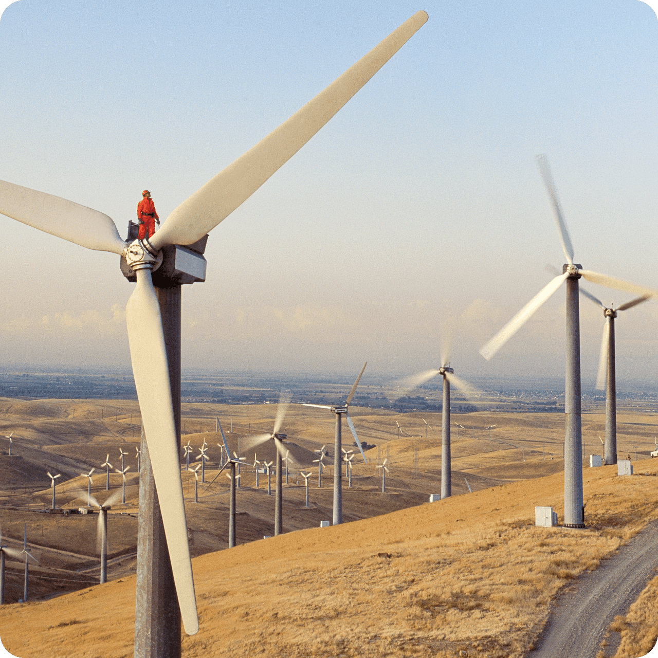 Image of windmills in a field