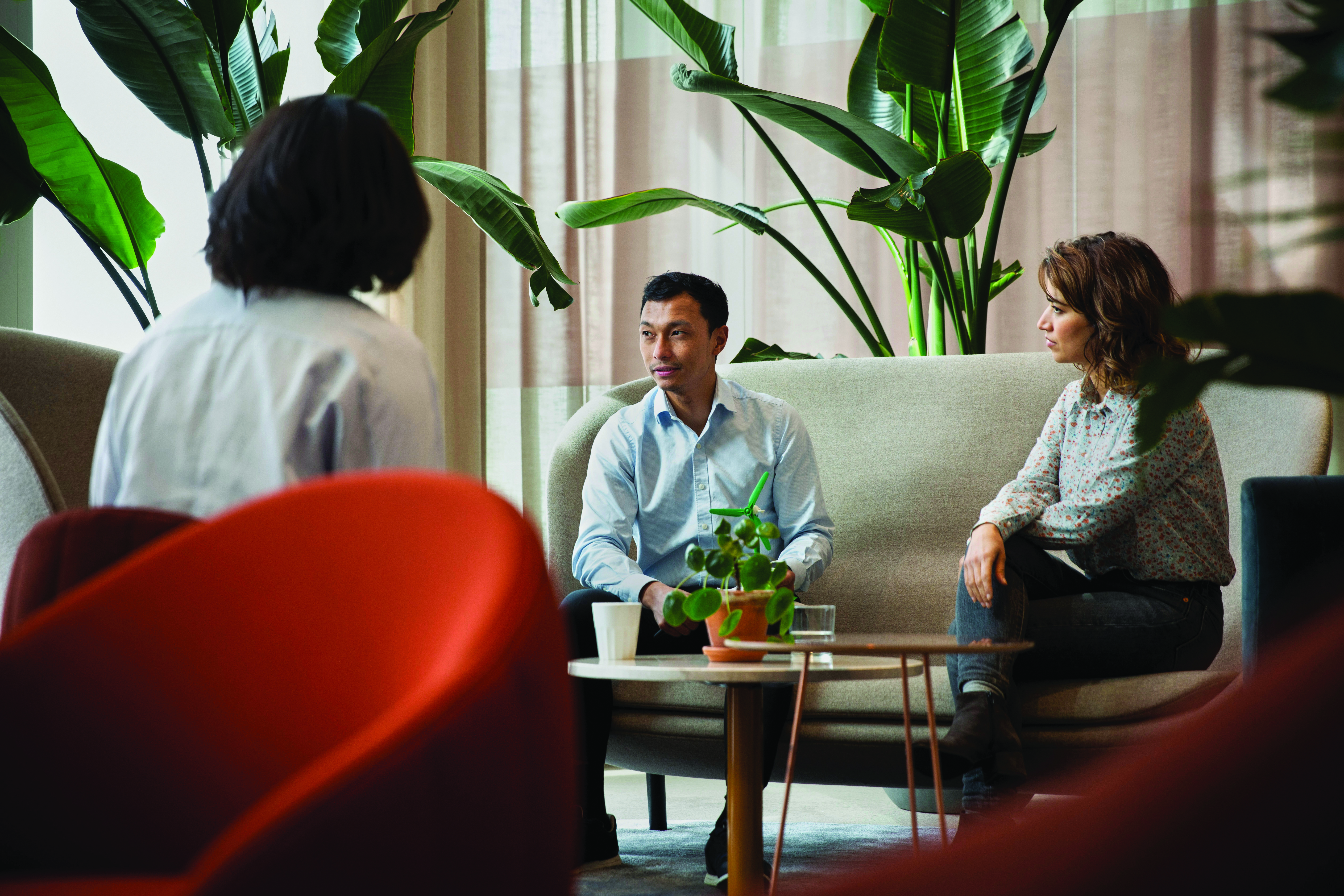 Colleagues gathered on office couches