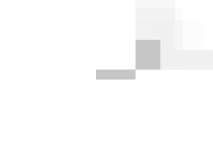 PwC Logo White