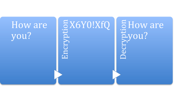 Cryptographic Keys 101: What They Are & How They Secure Data - Hashed Out  by The SSL Store™